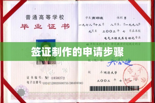 兴庆签证制作的申请步骤