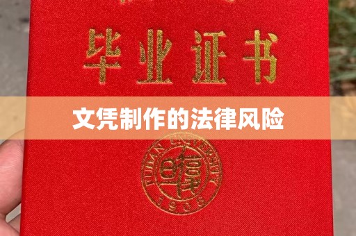 兴庆文凭制作的法律风险