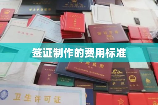 兴庆签证制作的费用标准